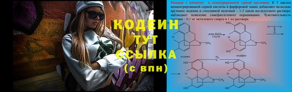 ПСИЛОЦИБИНОВЫЕ ГРИБЫ Чегем