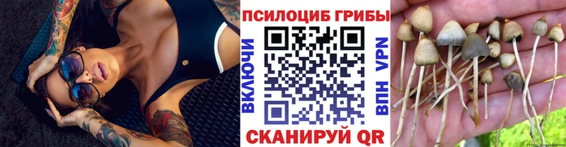 Галлюциногенные грибы ЛСД Унеча