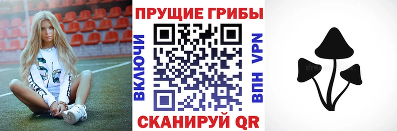 Галлюциногенные грибы мицелий  Унеча 