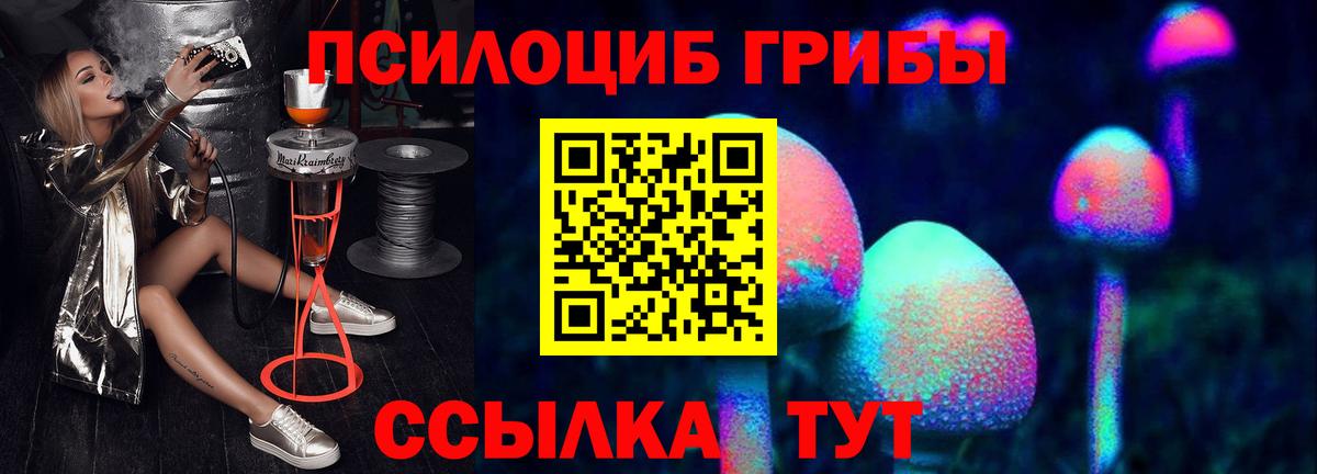 Галлюциногенные грибы прущие грибы  Псилоцибиновые грибы Magic Shrooms  Унеча  Вход с VPN 