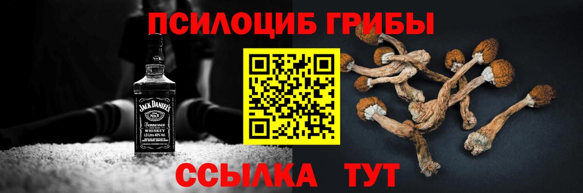 Галлюциногенные грибы Psilocybine cubensis Унеча